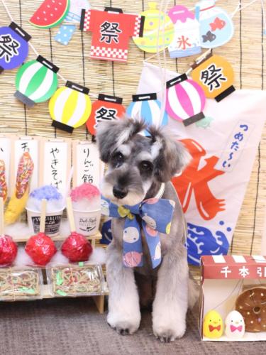 20240730オズくん